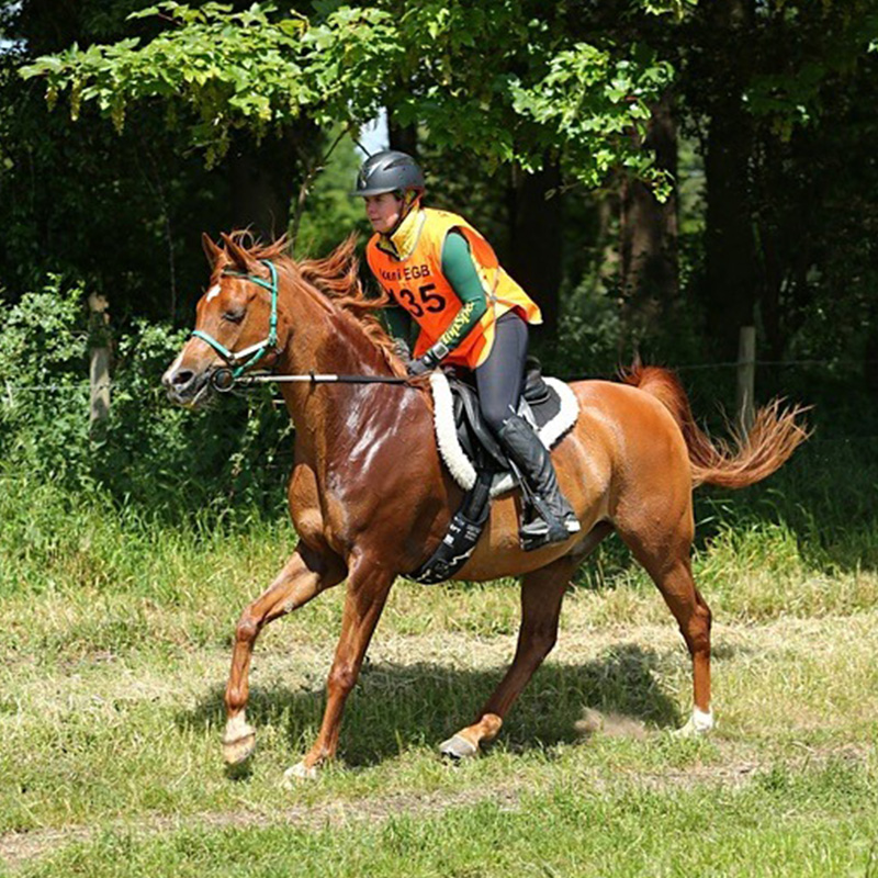 Pre-Season Horse Training Tips 3 Linda Cowperthwaite