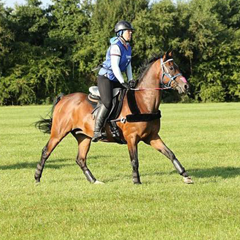 Pre-Season Horse Training Tips 6 Louise Rich